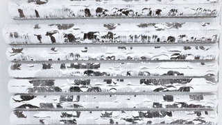 대설특보 해제…중대본, 위기경보 ‘관심’으로 하향