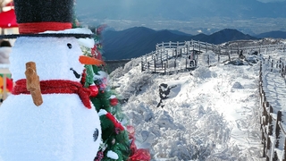 서울 8년 만에 화이트 크리스마스…중부 곳곳 밤새 눈