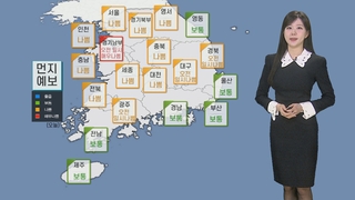[날씨] 뿌연 미세먼지, 공기질 ‘나쁨’…수도권·세종 비상저감조치