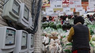 올해 물가 3.6%↑…전기·가스·수도 20%↑