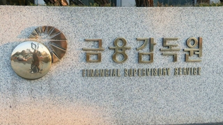 금감원, 홍콩ELS 주요 판매사 12곳 현장점검 착수