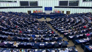 유럽의회, 이스라엘­하마스 ‘영구휴전 촉구’ 결의 첫 채택