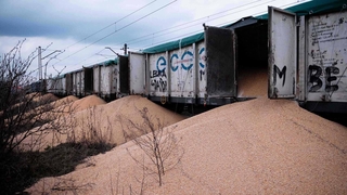 폴란드 농민들, 우크라산 곡물 160t 철로에 쏟아…왜?