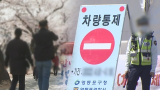 ‘개화 지연’ 여의도 봄꽃축제 교통통제 8일까지 연장