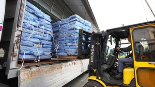 국내산 급감에 원양 오징어 1만5천톤 푼다