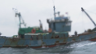 불법 중국어선 처벌 확대…위치장비 꺼도 단속