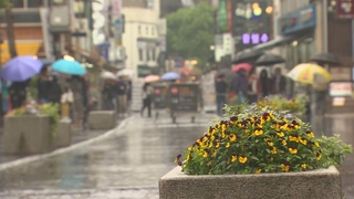 [일요와이드] 오늘도 곳곳에 강풍 동반 비…궂은 날씨에 ‘서늘’