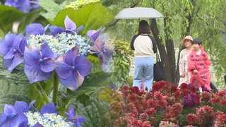 알록달록 봄꽃 향연…역대 최대 규모 ‘고양국제꽃박람회’