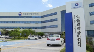 온라인 식·의약품, 불법 판매·광고 무더기 적발돼