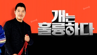 KBS ‘개훌륭’ 강형욱 의혹에 3주 연속 결방