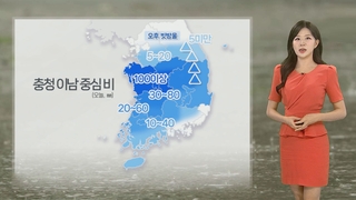 [날씨] 충청 이남 강한 장맛비…한낮 찜통더위 계속