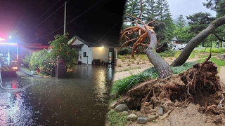 장대비에 전북지역도 침수 피해…충북에선 매몰로 1명 사망