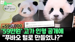 [씬속뉴스] 59만원 푸바오 인형, “똑 닮았네” vs “실제 털인가?”…고가에 ‘시끌’