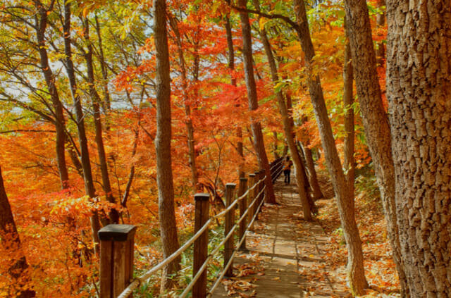 가을 문턱…걷기 좋은 국립공원 7곳은