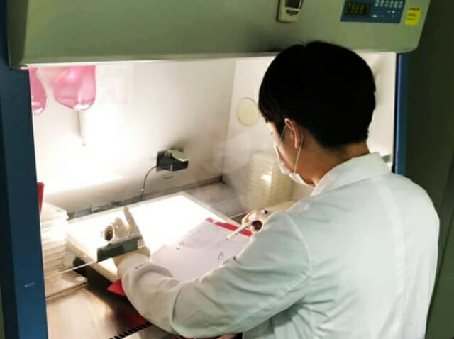 의정갈등 장기화 여파, 국내병원 임상·연구 감소