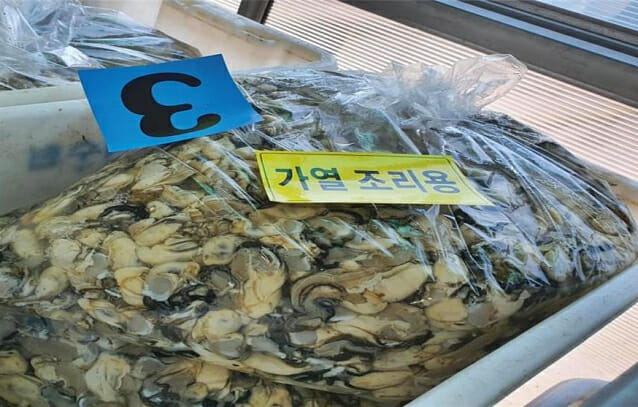 익히지 않은 어패류에서 노로바이러스 식중독 발생 우려