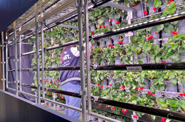 “기술로 먹는 문제 해결”…K-푸드테크 업계 한자리