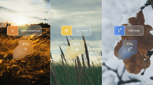 구글 일기예보 AI, 기존 예측 모델 ‘속도·효율’ 모두 앞섰다