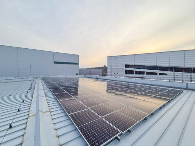 소나무 7천904그루 효과…현대면세점, 태양광 에너지 설비 준공