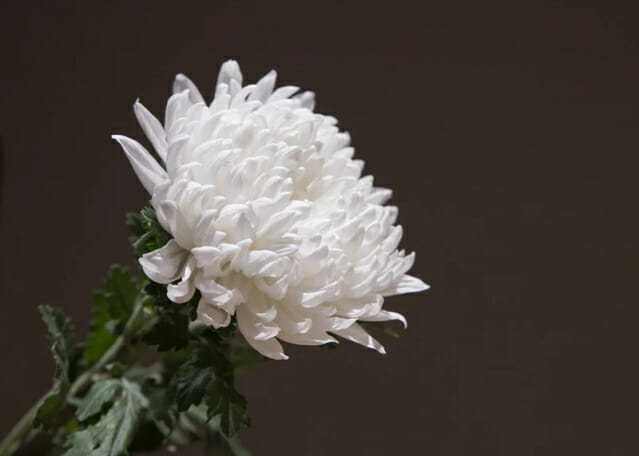 초등생 가해 교사 질환에 편견 번져…”낙인 우려”