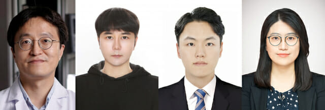 설탕 성분+초분자 기술로 플라스틱 재활용 해결법 찾았다