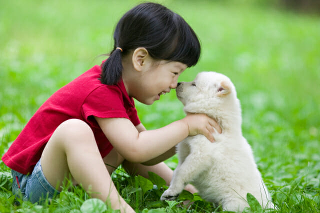 246명 주인에게 ‘반려견 키우는 장·단점’ 물었더니