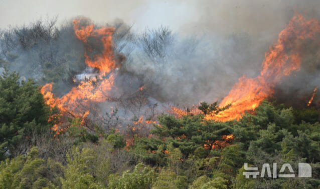 정부, 산불 특별재난지역 통신·유료방송 요금 감면