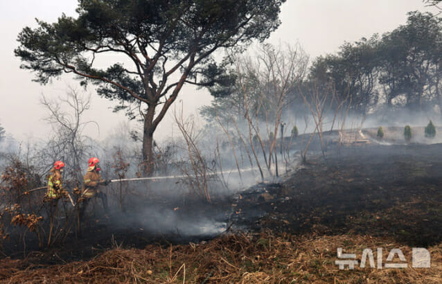 산불 확산…방송통신재난 위기경보 ‘주의’ 발령
