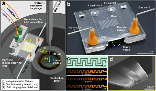 “단백질 반응, 1천분의 1초면 포착”…국내 연구진, 초저온 전자현미경 한계를 넘다