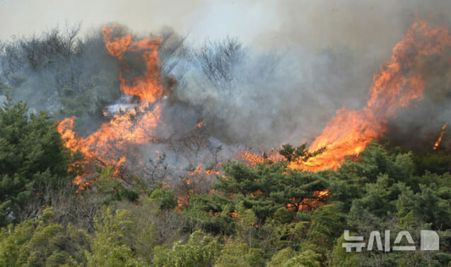 국가유산청, 산불에 총력 대응…위기경보 ‘심각’ 발령