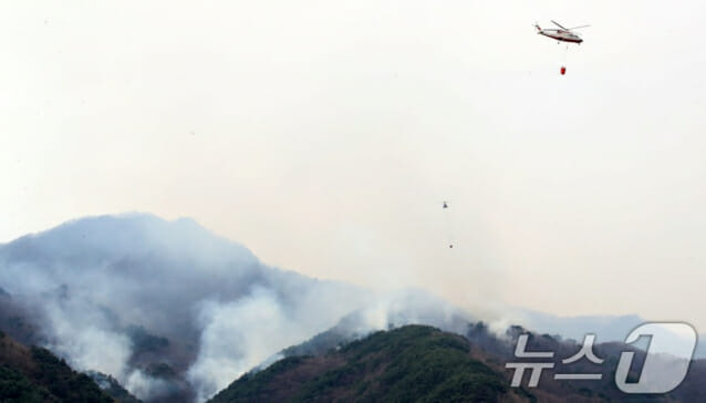 경북 산불 사망자 평균 연령 78세…”재난 취약계층 보호해야”