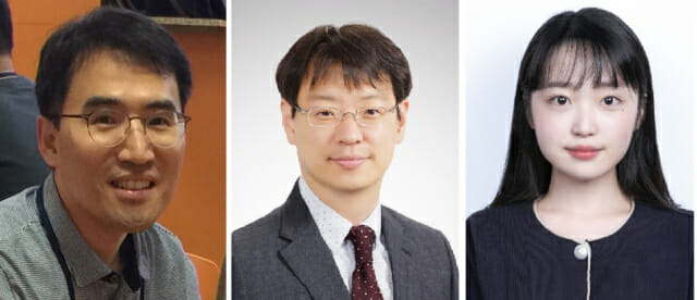 국내 연구진 “노화된 관절에 특정 화합물 주사했더니…젊은 관절로 재생 확인”