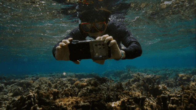 삼성전자, 1년간 농구장 25개 면적 산호초 복원