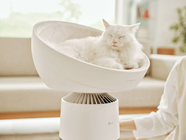 LG전자, 나응식 수의사와 ‘에어로 알아가묘’ 클래스