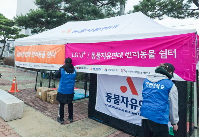 LGU+, 재난현장 반려동물 구호 확대