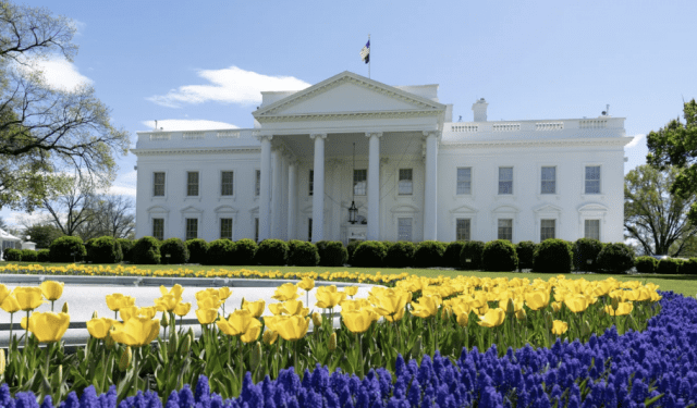 백악관, 윤석열 파면에 “한국의 민주적 제도-헌재 결정 존중”