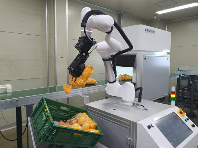 유온로보틱스, 성주 유통센터서 AI 로봇 자동 포장 실증