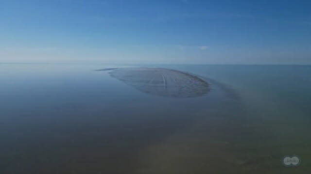어느날, 없던 섬이 솟았다…대체 무슨 일