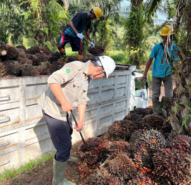 LX인터내셔널, 사원 해외 연수 강화…”현장 감각 갖춘 인재 육성”
