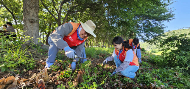 SKC, 울산 SK피아이씨글로벌 사업장서 생태계 보호