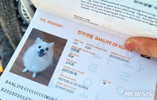 “출장 가야하는데 여권 만료”…은행 앱으로 재발급 바로 받은 사연은