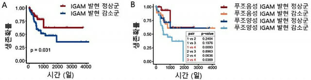 구강 세균 ‘푸조박테리아’, 대장암 예후 악화