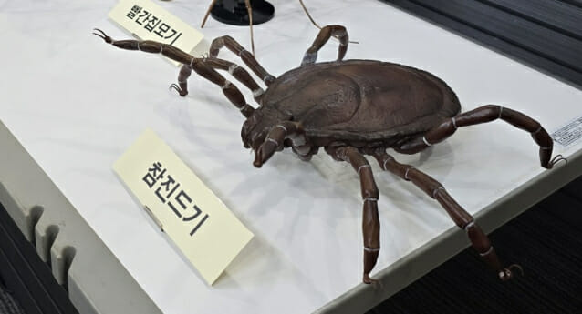 청주에서 SFTS 집단발생 역학조사 중…의료기관 내 2차 감염