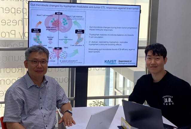 장내 특정 미생물 투입했더니…뇌종양 면역치료에 효과