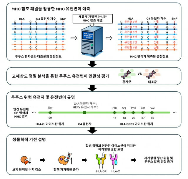 한양대의료원, 전신홍반루푸스 발병 핵심 유전변이 규명