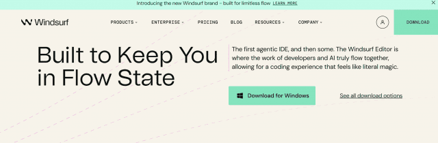 구글, AI 코딩 기업 ‘윈드서프’ 인재·라이언스 확보에 3.3조원 베팅