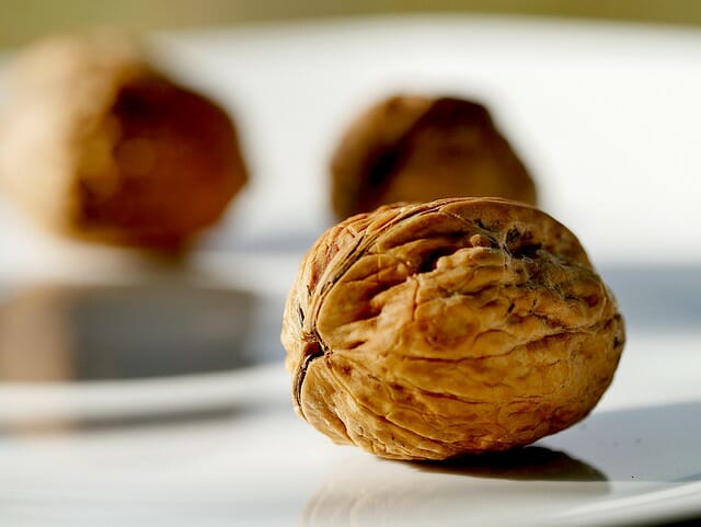 “이것은 마법”…호두껍질과 물 한 방울로 전기 만들었다