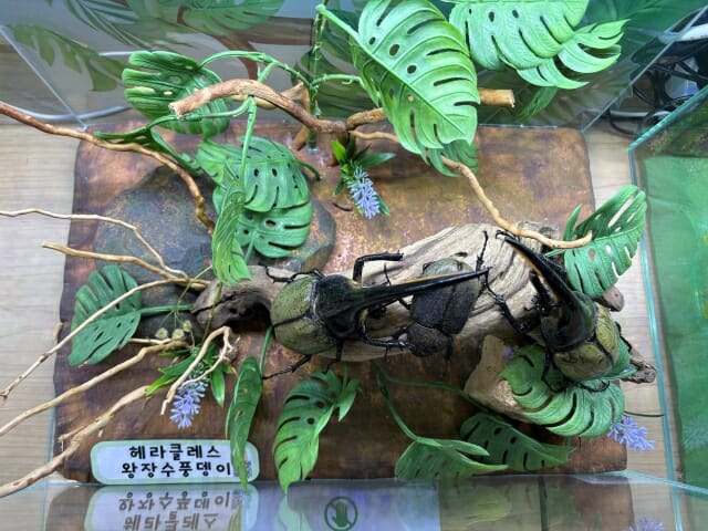 실내 피서지로 몰리는 여름휴가…‘몰캉스’ 각광받는 아울렛