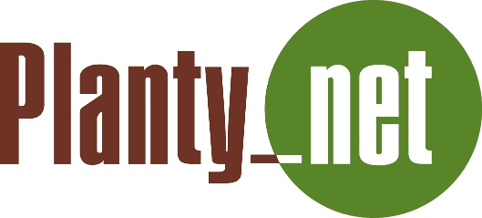 플랜티넷, AI 솔루션 덕에 상반기 실적 날았다…매출 ‘역대 최대’