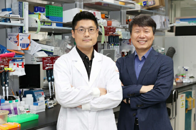 항우울제, 노인에 효과없는 이유는…노화된 뇌 ‘넘비 단백질’ 과발현이 원인